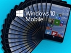 短期无望 Windows Mobile发布时间曝光