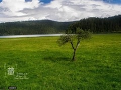 美丽西藏 手机摄影大赛精选作品欣赏