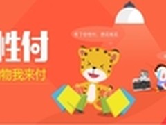 “任性付”15天拿下第一 618开打金融战