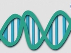 “戴”神医坐堂问诊行业信息化（二）