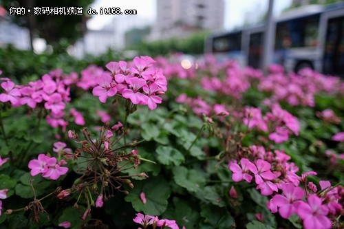 超广夜之眼 富士XF16mmF1.4镜头使用