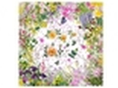 尼康摄影大赛2014-2015获奖者名单揭晓