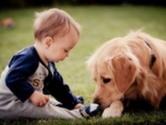 防过敏哮喘鼻炎首选空气净化器奥司汀