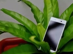 防水智能机引领潮流 索尼Z3+暑期热促中