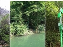信锐为张家界风景区打造景区无线网络
