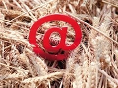 “互联网+”催生农产品线交易万亿市场