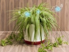 小米看呆了！不用充电的智能净化花盆