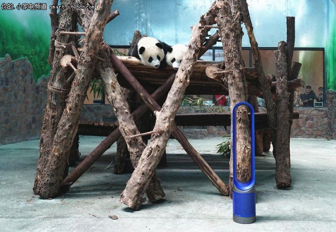 戴森为成都大熊猫繁育研究基地提供支持