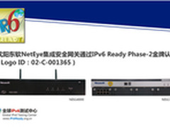 东软NetEye集成安全网关通过IPv6认证