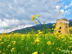 先拍照后对焦，绝对不是玩虚的