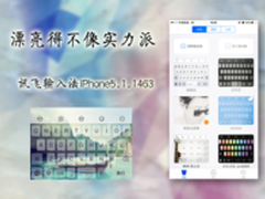 漂亮得不像实力派讯飞输入法iPhone新版