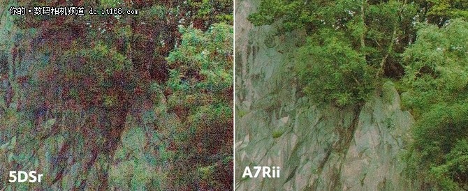 佳能5DsR与索尼A7R II动态范围表现对比-IT16
