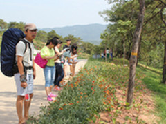 让旅行更精彩 户外旅行新装备超乎想象