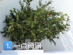 兴趣引擎开创资讯消费新范式