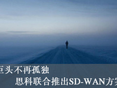 巨头不再孤独 思科联合推出SD-WAN方案