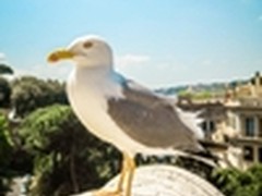 今秋旅行必备神器—佳能G7 X