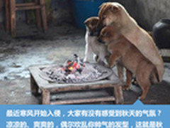 姿势正确才过冬 盘点秋冬战略生存物资