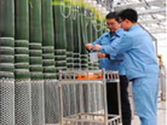 青岛绿巨人： 能源互联网落户CMS