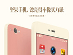 999元米黄色玻璃 坚果文青版发布