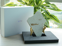 解读进化的秘密 乐视邀请函竟是鱼化石