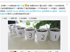 6颗豆子的悬疑营销 荣耀11.11预热开启