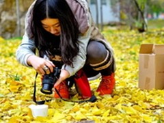 若干年经验谈如何拍出优秀的微距作品