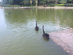 3天短暂感受真实的华为 华为总部游记