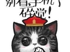 【微信官方教程】如何做一套好的表情