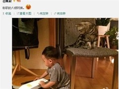 科沃斯地宝朵朵扫地机器人 预售超6万