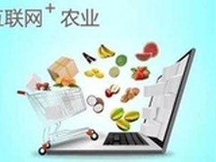 推进“互联网＋农业”不是“做盆景