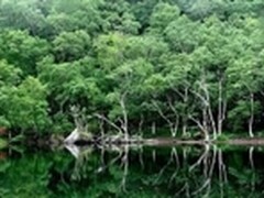 好方案是用出来的 戴尔OpenManage解密