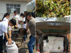 90后团队解决农户“滞销”难题