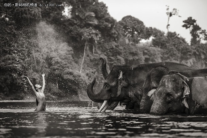 摄影师镜头下的亚洲明星与濒危动物
