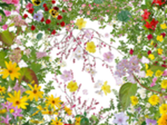 尼康摄影大赛2014-2015作品展