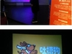 .CO域名助超级创业沙拉团队圆创业梦
