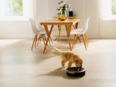 用朵朵省时间 科沃斯2015收官大战开启