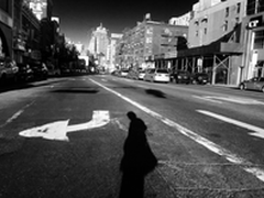 纪录这个世界我需要一个值得信任的伙伴