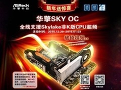 科技迎新年 华擎SKY OC技术京东送惊喜