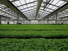 傍上物联网 农田增效益