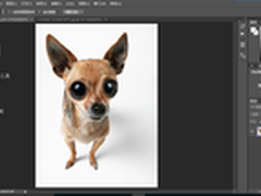 每天5分钟让你成为PS大神（第十八期）