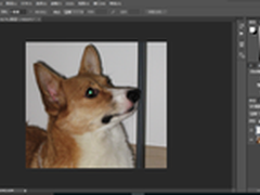 每天5分钟让你成为PS大神（第十九期）