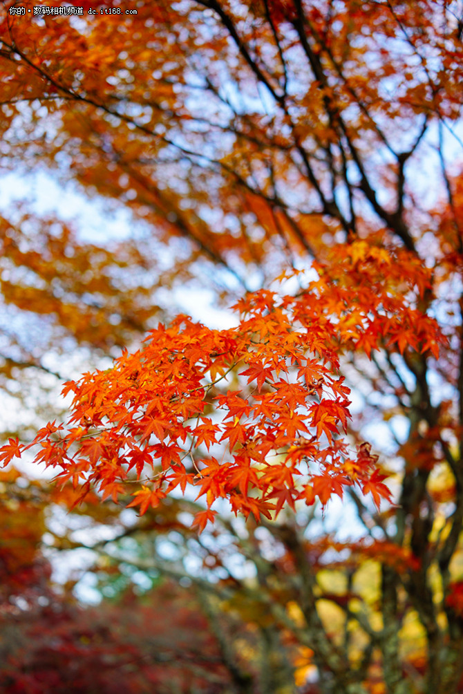 带索尼黑卡RX1RII游日本之雪国白川乡