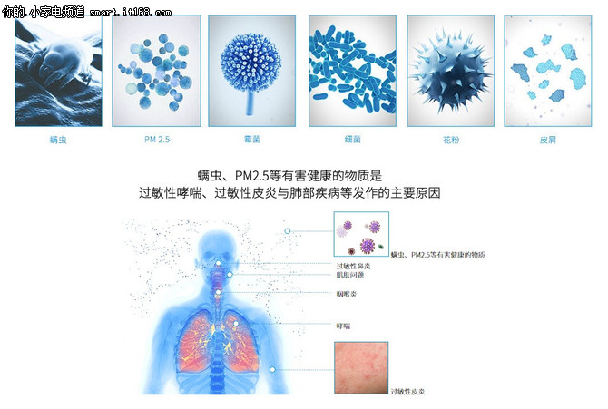 家庭健康新热点：床褥净化比防霾更重要