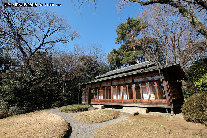 明治神宫 都厅 月岛  富士X-PRO2带你飞