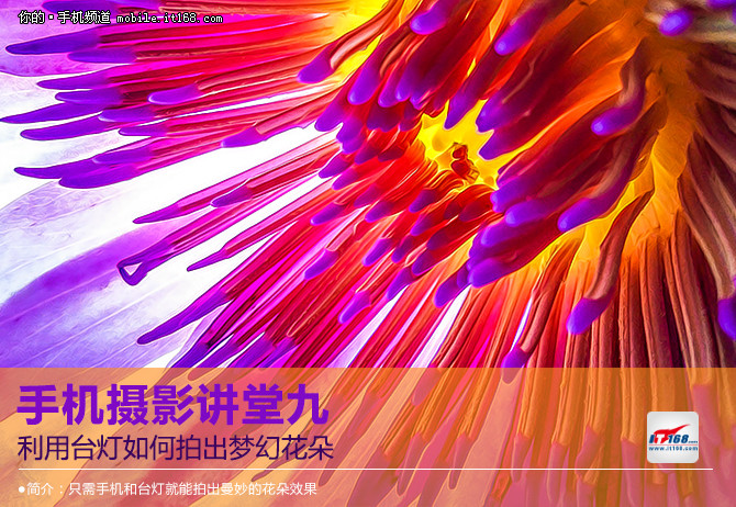 手机摄影讲堂九 台灯如何拍出梦幻花朵