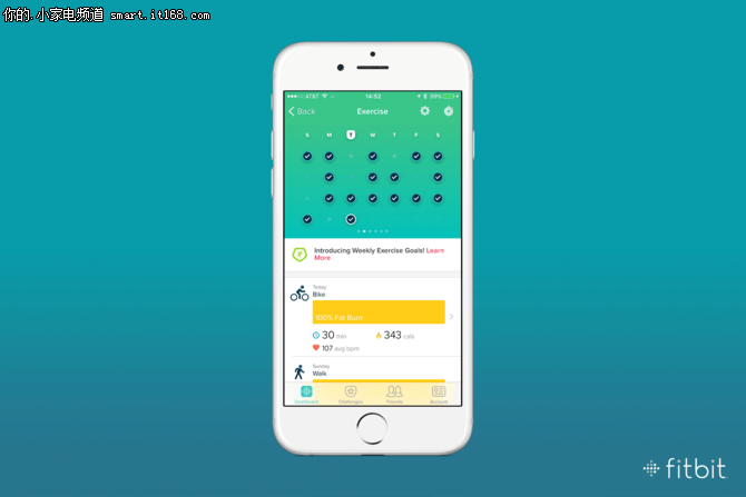 打开App Fitbit帮你击破新年长假综合症