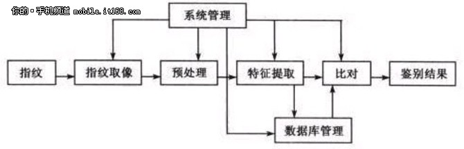 流言终结者 手机指纹识别安全性调查