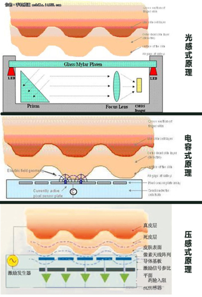 流言终结者 手机指纹识别安全性调查