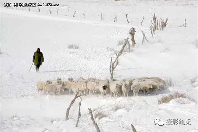 简单4点说破拍雪景怎么拍才好看