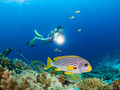 谈索尼全画幅微单A7RII壮丽水下摄影